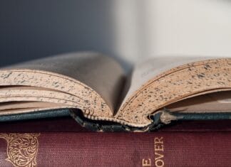 Sukcesy polskich reżyserów na świecie