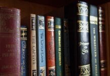 Sztuka field recordingu – kiedy dźwięk natury staje się dziełem