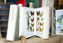 Cyfrowe murale – jak technologia zmienia sztukę uliczną