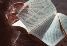 Nowe życie tradycji – edukacja regionalna w szkołach