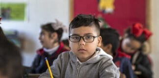 Jerzy Stuhr – od kabaretu po kino europejskie