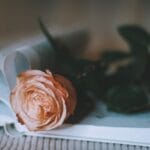 centrumkulturyipromocjigminyglusk (91)